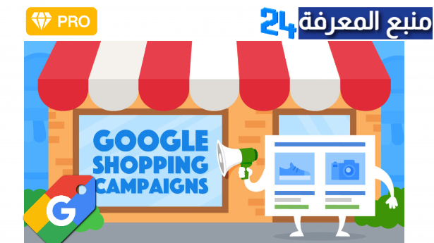 Best Google Ads Shopping Campaign Structure 2024 New strategy